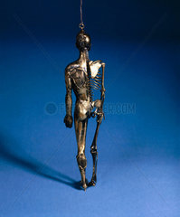 Anatomical male figure.