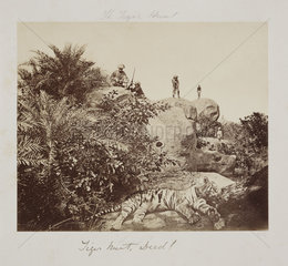 'Tiger Hunt  Dead!'  c.1860.