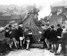 Schoolboy train-spotters at Newcastle Station  August 1950.