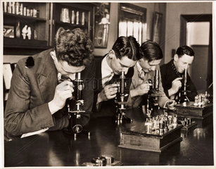 Students in a botany class  c 1931.