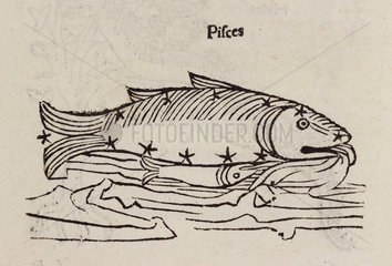 The constellation of Pisces  1488.