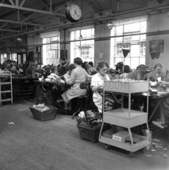 Women making shoes in a factory  Leicester  1950.