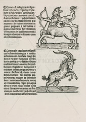 Sagittarius the archer and Capricorn the goat  1489.