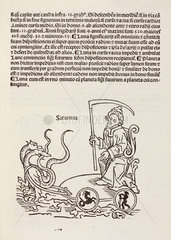 Saturn symbolised  1489.