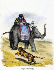 'Tiger Hunting'  c 1845.