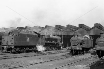 Edge Hill locomotive shed  Liverpool  mid 1950s.