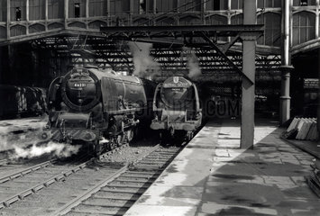 Two Coronation Class steam locomotives at Carlisle  July 1953.