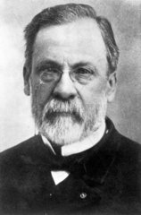 Louis Pasteur  French chemist and inventor of pasteurisation  1880.
