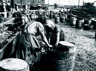 Female fish-gutters at work  Whitby quayside  North Yorkshire  c 1900s.