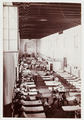 Beds lined up in a military hospital  C 1916.