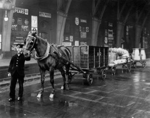 Midland Railway horse-drawn wagon laden with milk and straw  c 1912.