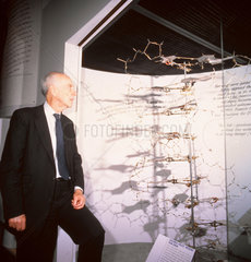 James Dewey Watson with his original DNA model  9 June 1994.
