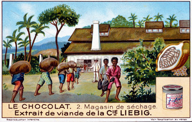 Chocolate: The Drying Shed  Liebig trade card  early 20th century.