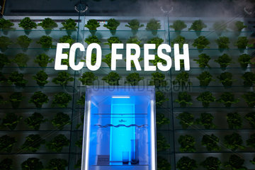 Berlin  Deutschland  Praesentation der Eco Fresh Technik der Kuehlschraenke von Panasonic