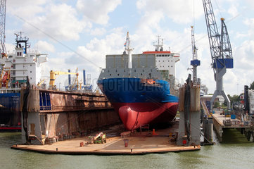 Rotterdam  Niederlande  ein Containerschiff liegt im Trockendock vom Hafen Rotterdam