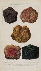 Bismuth  cobalt  arsenic and nickel  1869.