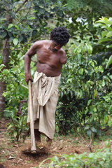 Galle  Sri Lanka  ein behinderter Mann verrichtet Gartenarbeit