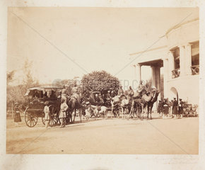 'The Lieutenant Governor of the Punjaub Camel Carriages'  c 1865.