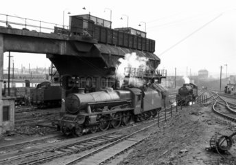 Edge Hill coaling plant  Liverpool  mid 1950s.