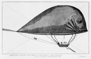 'Dolphin'  fish-shaped balloon  1835.