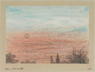 Sky and treetops  17.00  9 November 1883.