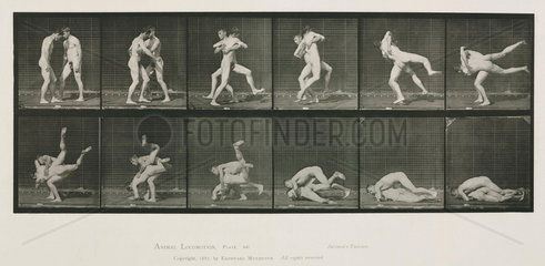 Time-lapse photographs of two men wrestling  1872-1885.