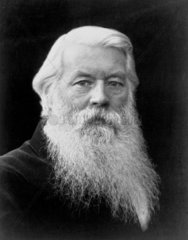 Sir Joseph Wilson Swan  scientist and inventor  c 1890-1900