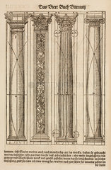 Different types of classical columns  1548.