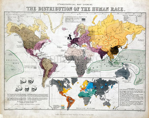 'Ethnographical Map Showing the Distribution of the Human Race’  1851.