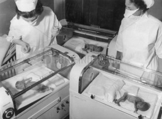Premature babies in incubators  4 October 1956.