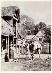Barnyard  c 1890.