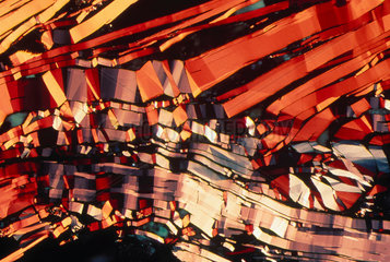 Covellite. Light micrograph in uncrossed po