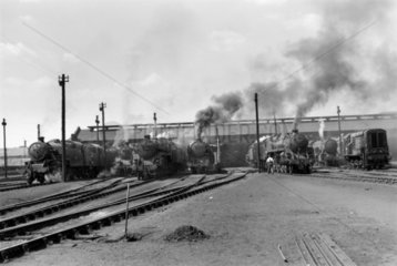 Polmadie locomotive shed  Glasgow  1962.