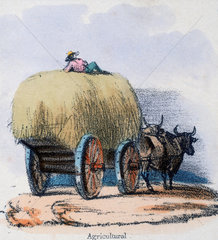 'Agricultural'  c 1845.