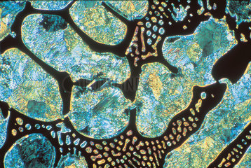 White cast iron  light micrograph  1990s.