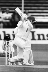 David Gower  England cricketer  c 1980s.