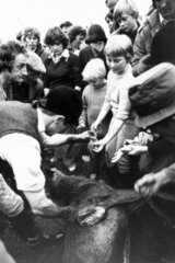 Children being given a stag’s liver  October 1979.