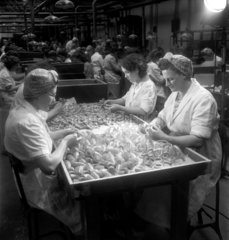Female workers inspecting condiment dispensers  1950.