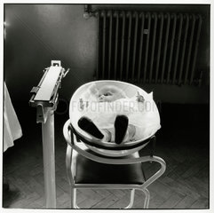 Weighing baby  c 1960.