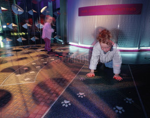 The footprint game in the Pattern Pod  Science Museum  London 2000.