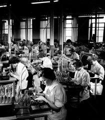 Mullard female employees assemble cathode ray guns at Simonstone  1956.