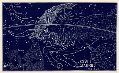 The constellation of Taurus  1895.