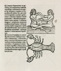 Gemini  the twins and Cancer the crab  1489.