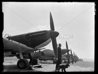 Spitfires  1939.