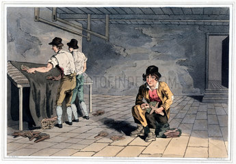 'The Preemer Boy'  1814.