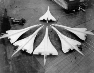 Cluster of six British Airways Concordes at Heathrow Airport  January 1986.