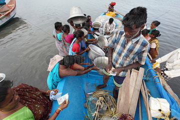 Annankoil  Indien  Fischhaendler im Fischereihafen