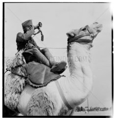 Camel Corps  1940.