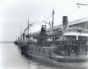 Coaling the SS 'Dearne'  1911.