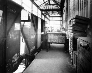 Staff loading freight wagons with cases of
